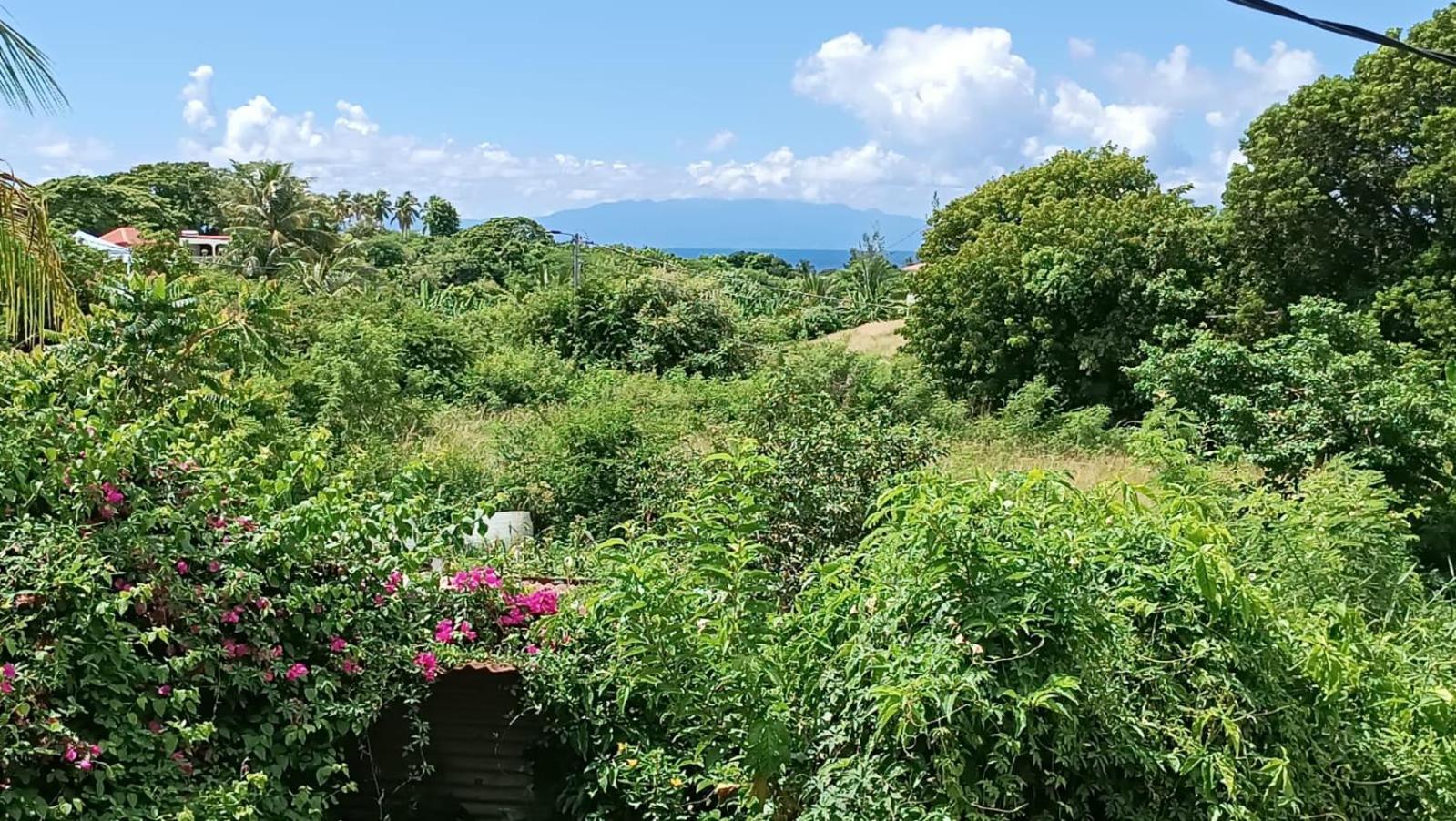 La Jemeli Hotel Grand-Bourg Kültér fotó